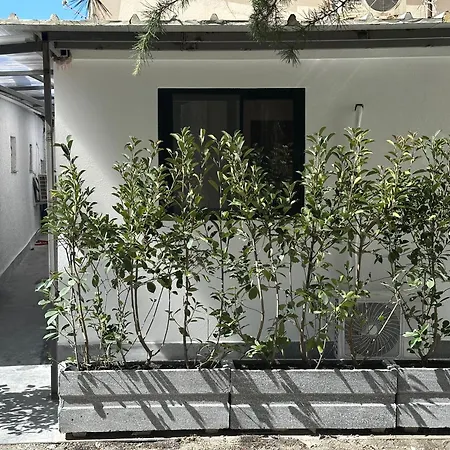 Apartment New Comfort Tirana